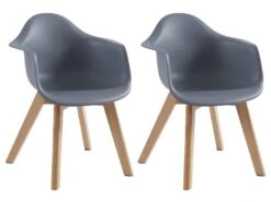 Lot De 2 Chaises Enfant Avec Accoudoirs En Polypropylène Et Hêtre - Gris - POUPINETTE