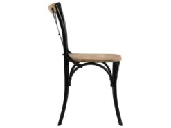 Lot De 2 Chaises De Salle à Manger Cuisine Noir Style Rustique Bois De Manguier Solide CDS020800 -Mobilier De Restaurant chaise 12684613