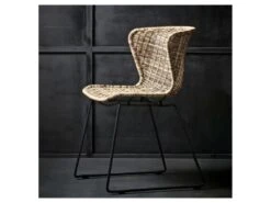 Wings - Lot De 2 Chaises Indoor/outdoor En Résine Tressée - Couleur - Naturel -Mobilier De Restaurant chaise 13389545