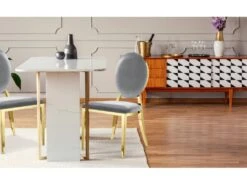 Lot De 2 Chaises Médaillon Sofia Velours Argent Pieds Or -Mobilier De Restaurant chaise 13699525