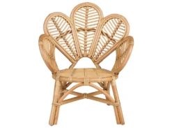 Chaise Paon En Rotin Naturel Pour Enfants FLORENTINE II 12 Chaise Paon En Rotin Naturel Pour Enfants FLORENTINE II -Mobilier De Restaurant chaise 16221183