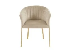 Lot De 2 Chaises Avec Accoudoirs En Velours Et Métal Doré - Beige - ZAOVA De Pascal MORABITO -Mobilier De Restaurant chaise 18483063