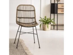 Chaise En Rotin Et Métal Rattan (lot De 2)