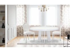 Lot De 20 Chaises Médaillon Louis XVI Simili (P.U) Blanc -Mobilier De Restaurant chaise 20010213