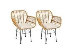 PATAYA - Lot De 2 Fauteuils Tressées Marron Avec Pieds Métal