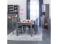 MELINA - Lot De 6 Chaises Bois Massif Gris -Mobilier De Restaurant chaise 9531859