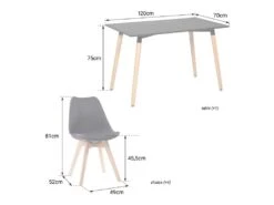 Ensemble Table Rectangulaire 120cm PIA Et 4 Chaises NORA Noir - HAPPY GARDEN -Mobilier De Restaurant ensemble table et chaise 13095159