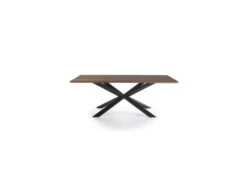 Table De Repas Rectangulaire Noyer/Noir - RUSSELL N°1