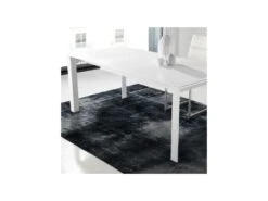 Table De Repas à Allonges - SANTY -Mobilier De Restaurant table a manger 20021407